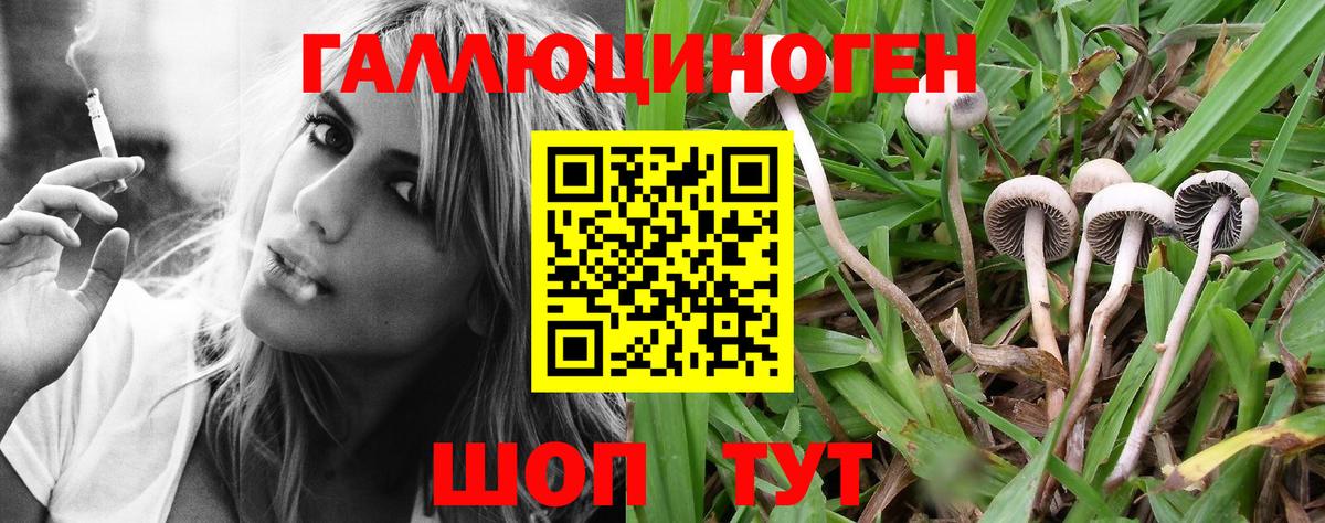 Галлюциногенные грибы MAGIC MUSHROOMS  Галлюциногенные грибы Cubensis  Вход с VPN  Боровичи 