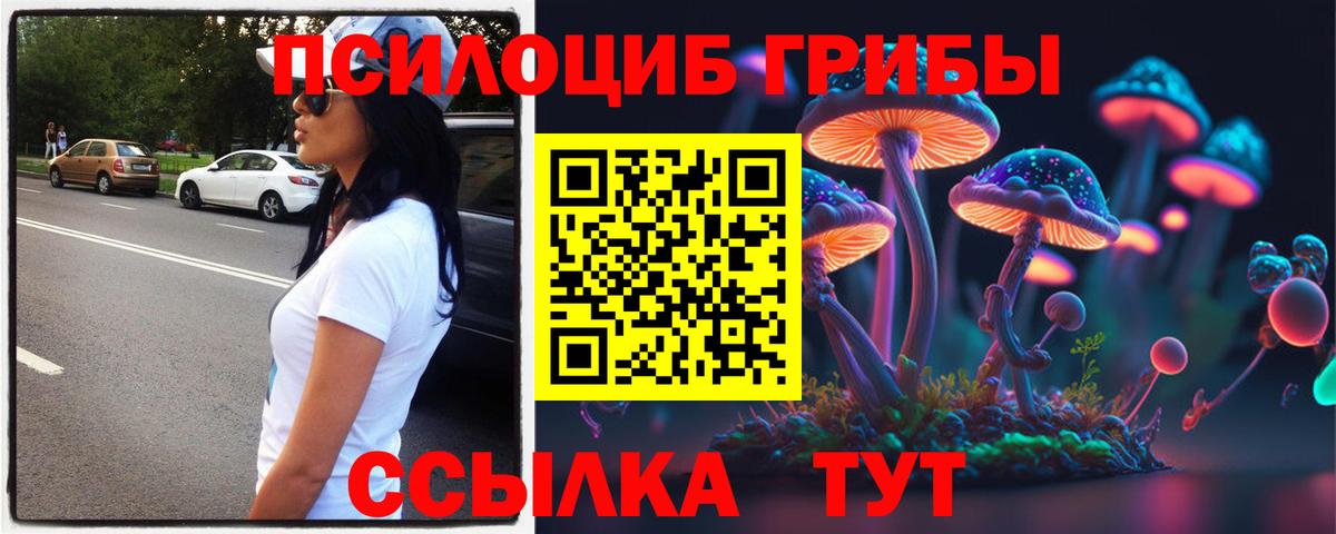 Псилоцибиновые грибы мицелий Боровичи